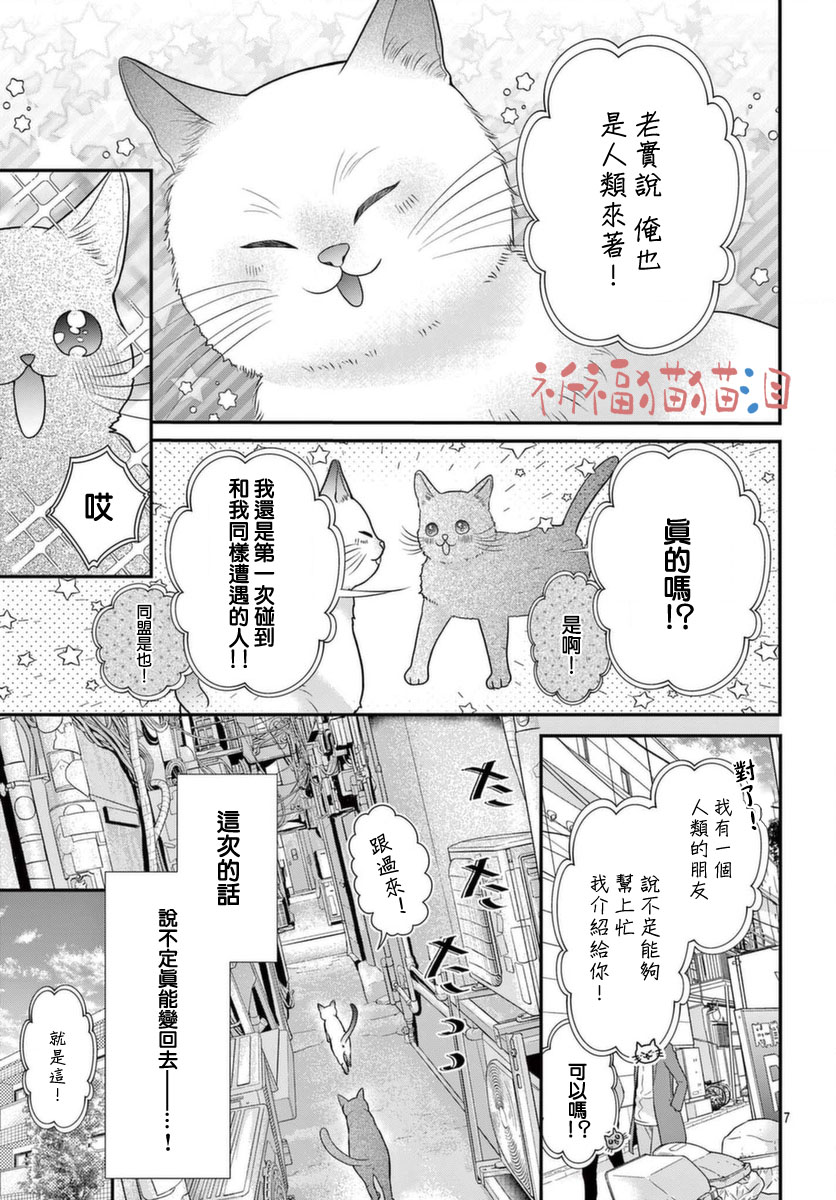 快来宠我嘛！我可是猫猫漫画,第5话2图