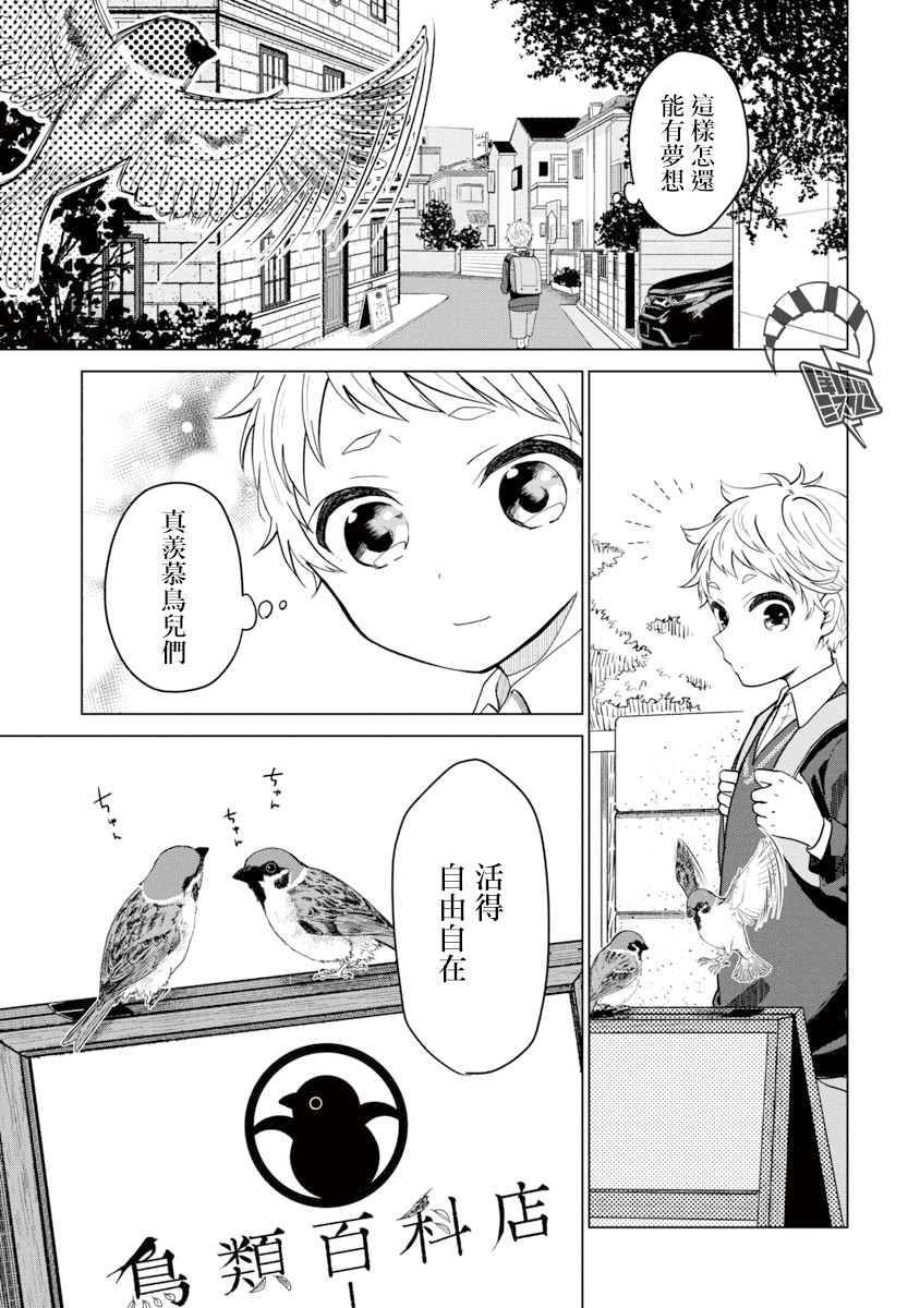 我与鸟百科店漫画,第1话4图