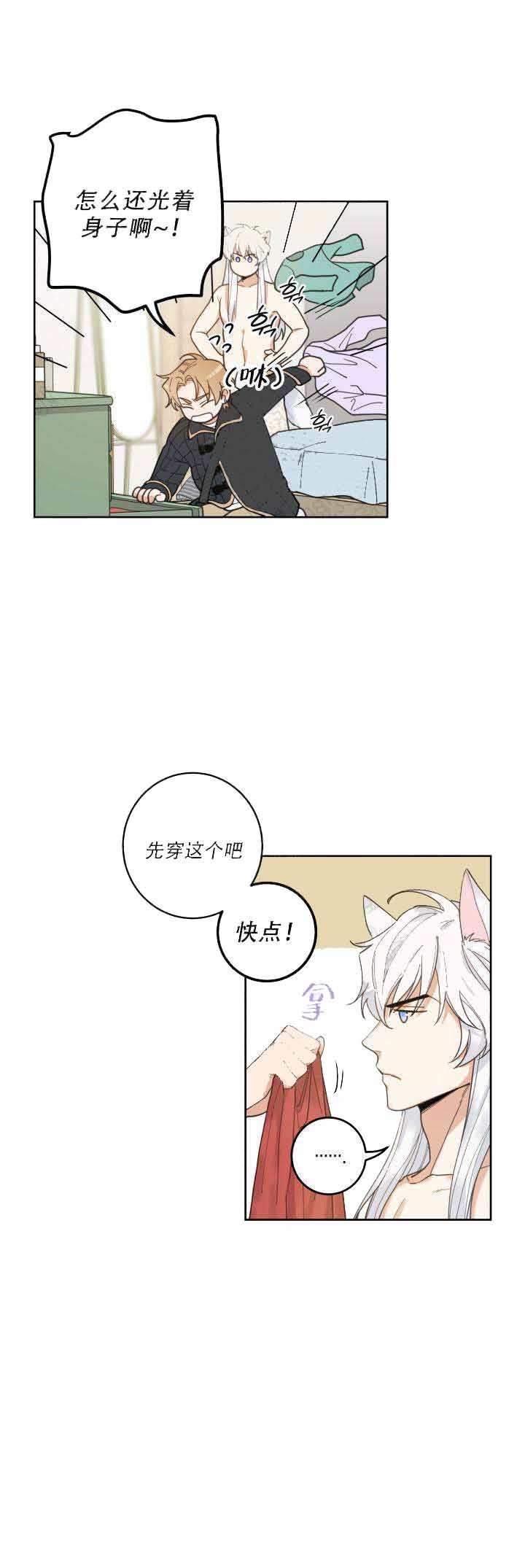 我唯一的猫猫第10话漫画,第9话3图