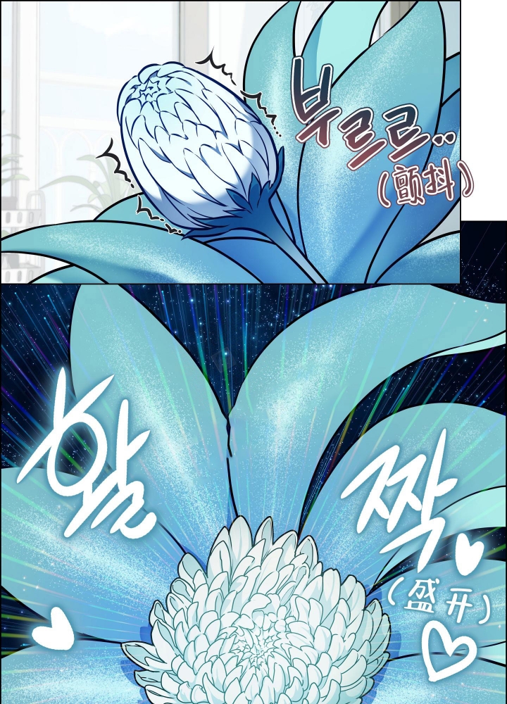 植物疗法治什么病漫画,第10话1图