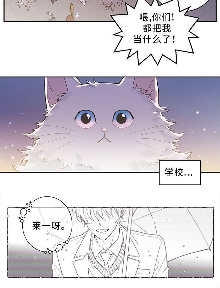 亲爱的喵君漫画,第1章：传说4图