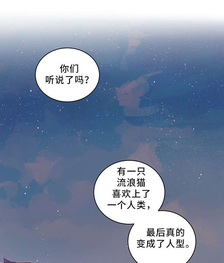 亲爱的喵君漫画,第1章：传说1图