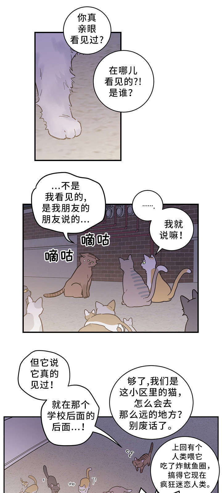 亲爱的喵君漫画,第1章：传说3图