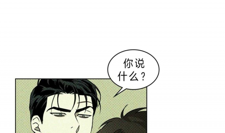 绿色镌像漫画,第5话4图