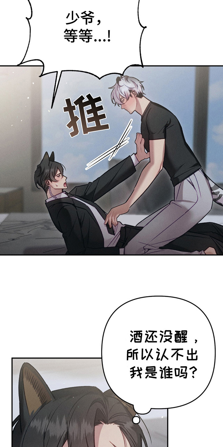 豹豹回家后续漫画,第3话4图