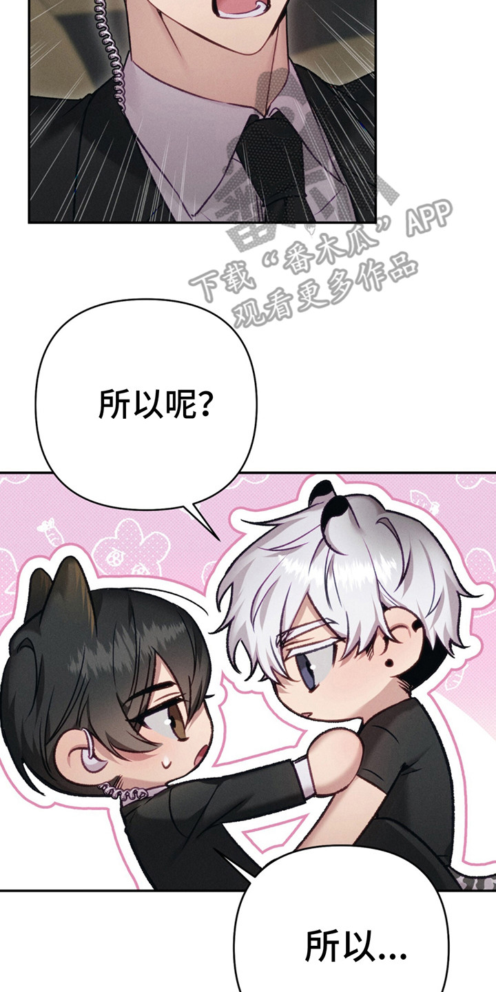 豹豹耶啵漫画,第5话2图