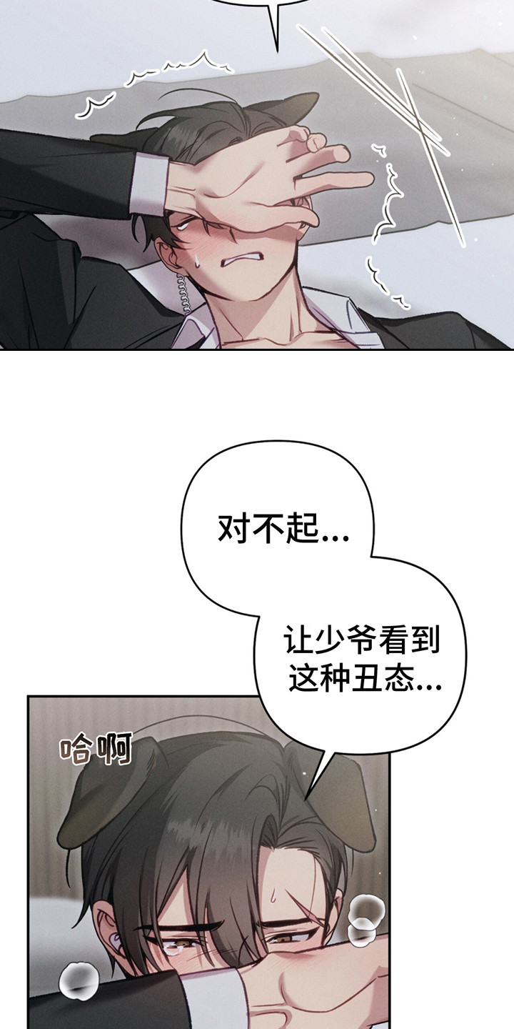 豹豹回家后续漫画,第3话3图