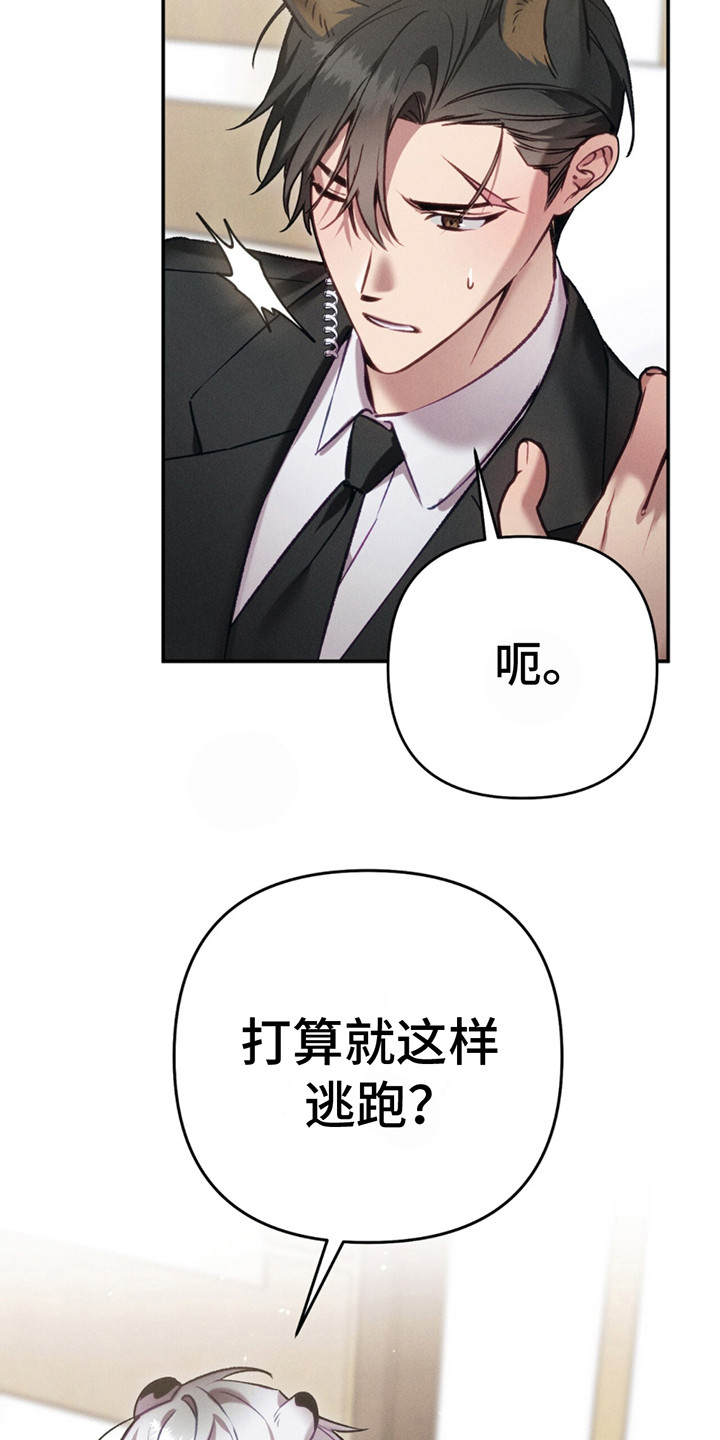 豹豹回家后续漫画,第4话3图