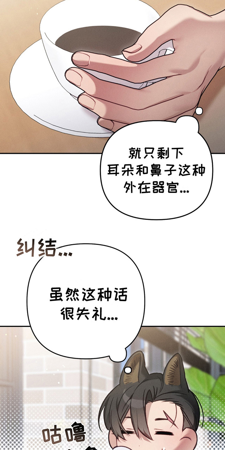 豹豹妈妈漫画,第1话4图