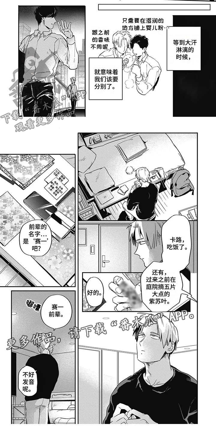 间谍任务她是贵族密码漫画,第7话5图