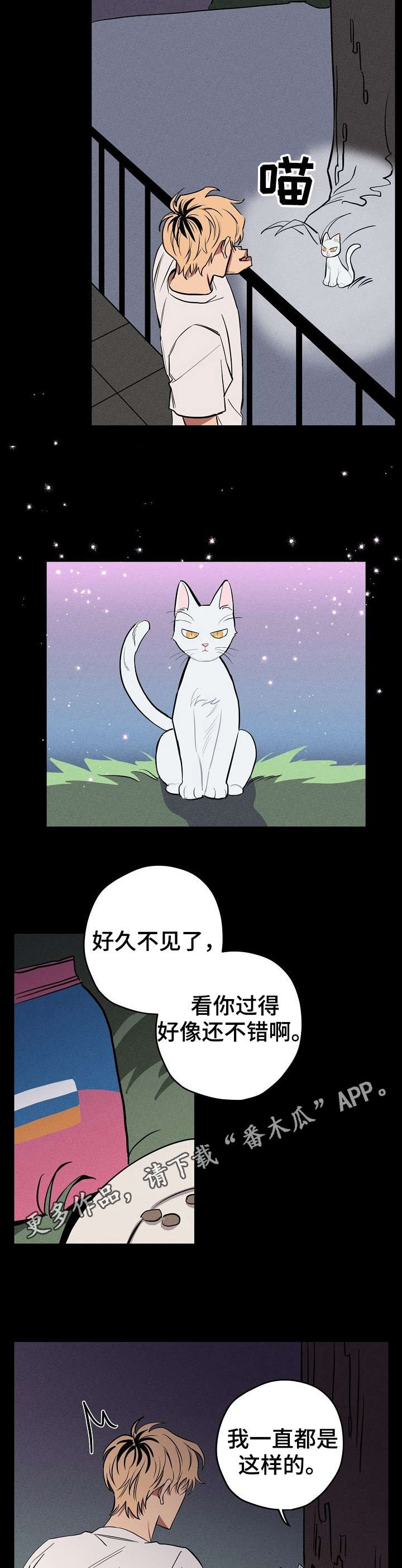 第10章：说话的猫1