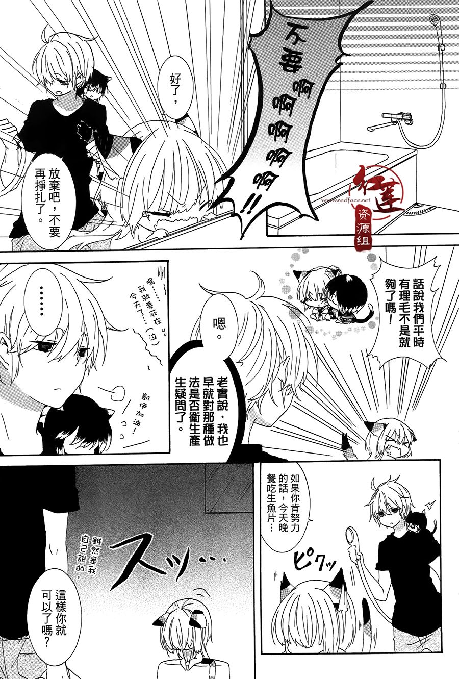 喵居生活漫画,第3话5图