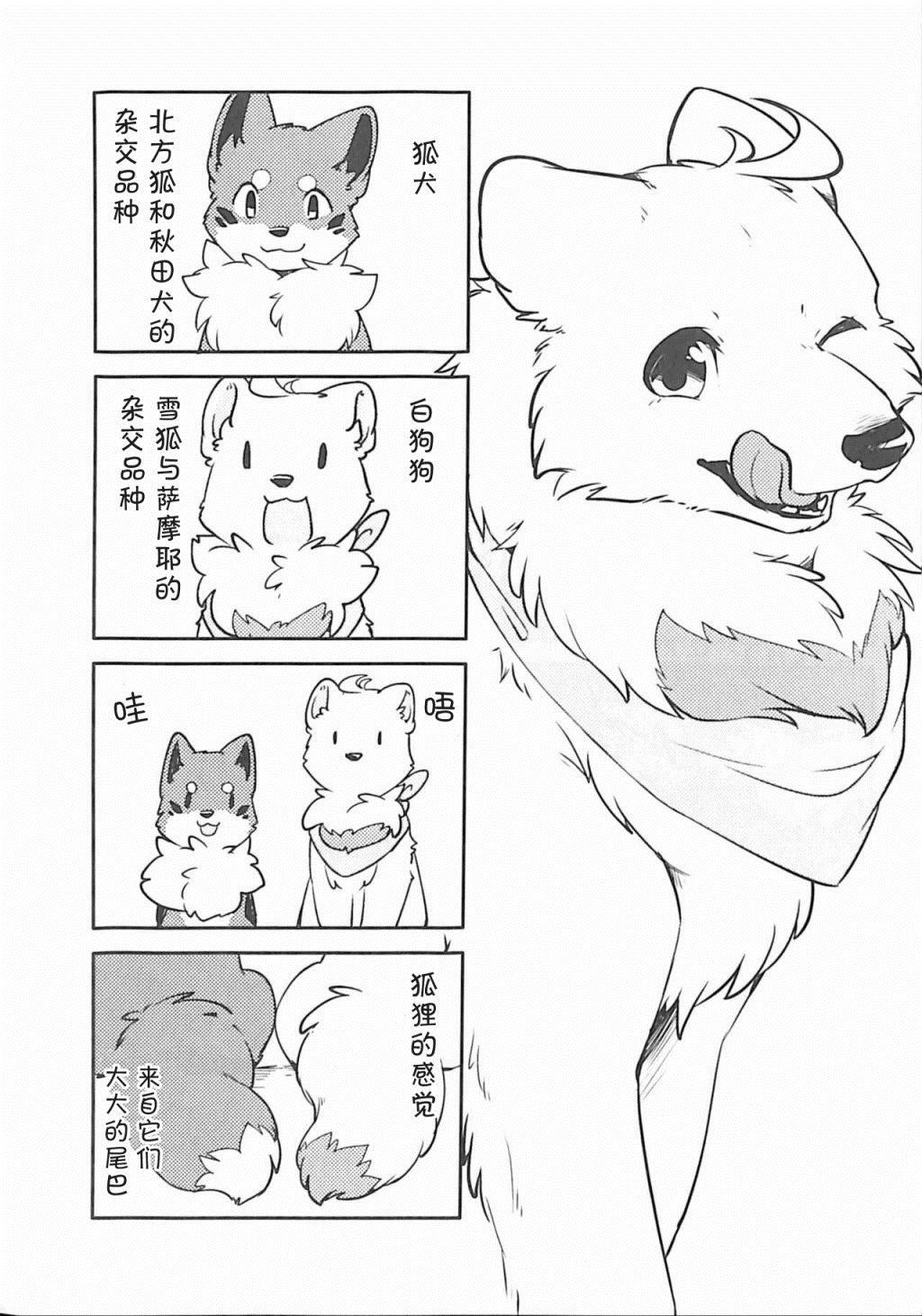 狐犬漫画,第2话2图