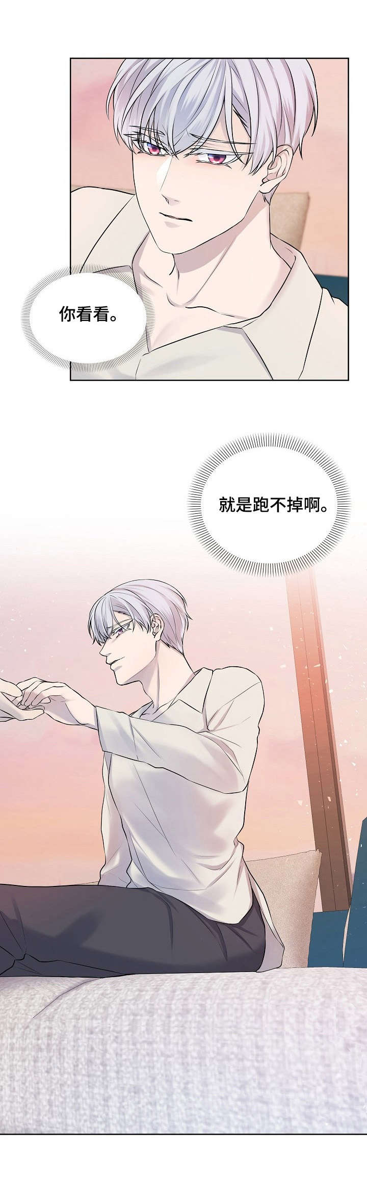 笼子里的金丝雀小说漫画,第10章：跑不掉3图