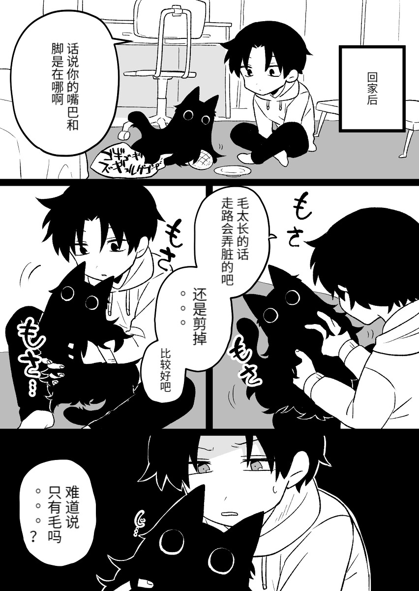 这是什吗这是猫猫bgm漫画,第2话4图