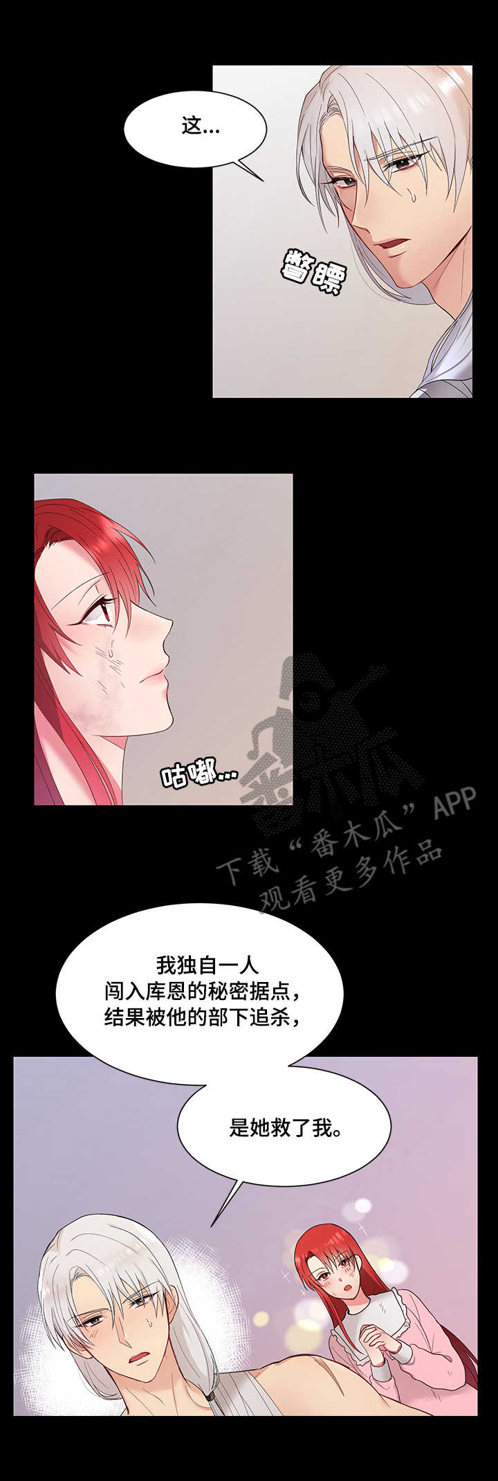 陌生王妃漫画下拉式漫画,第4章：王妃1图