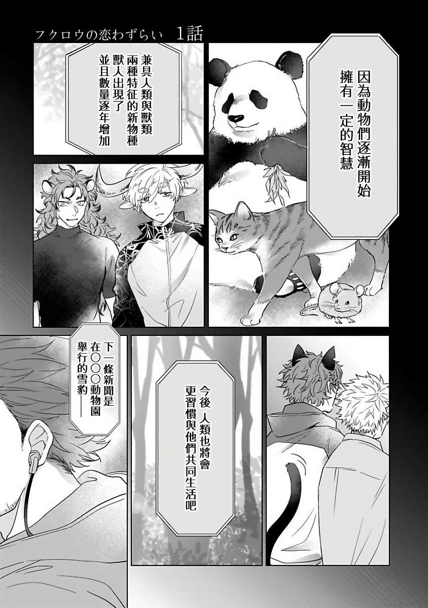 猫头鹰的相思病漫画,第1话5图