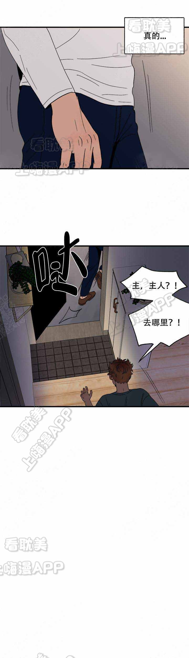 主人的主人漫画,第11话5图