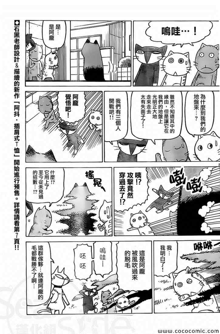 我家的街猫漫画,第19话2图