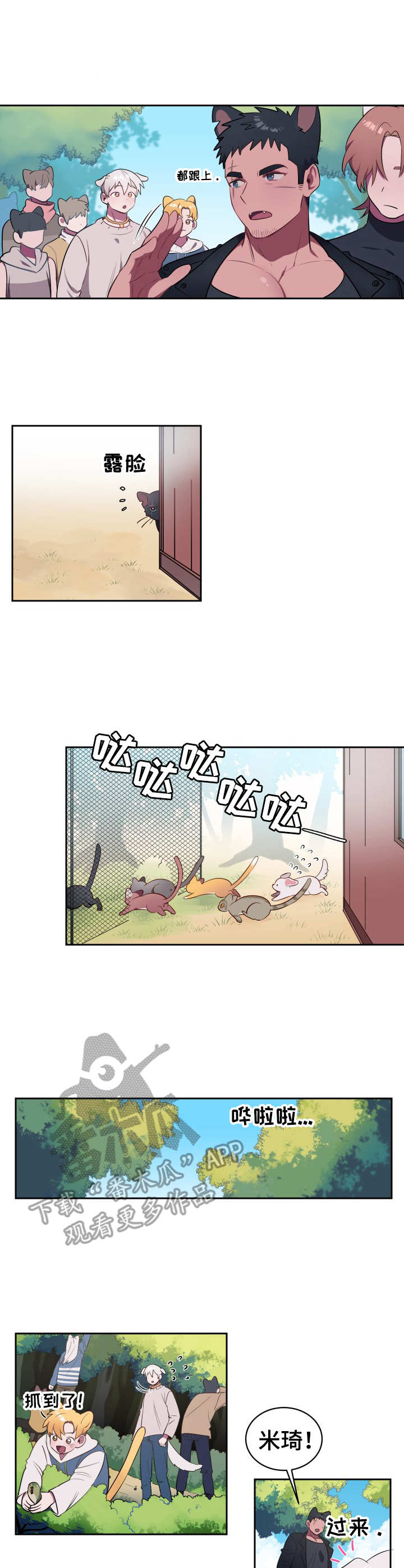 阿旺阿喵漫画,第3章：寻找食物1图