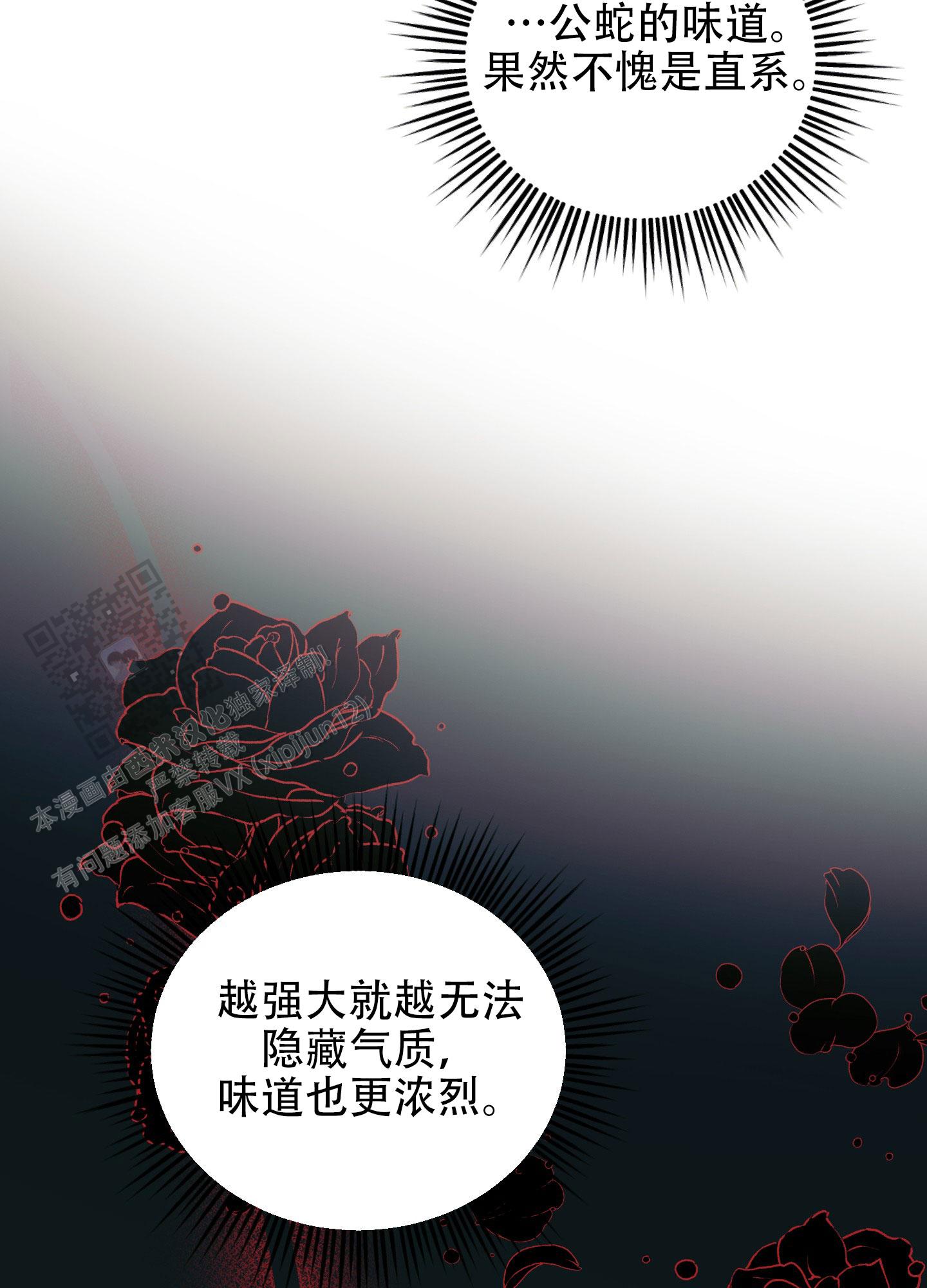 兔子保镖在哪个软件上看的漫画,第5话1图