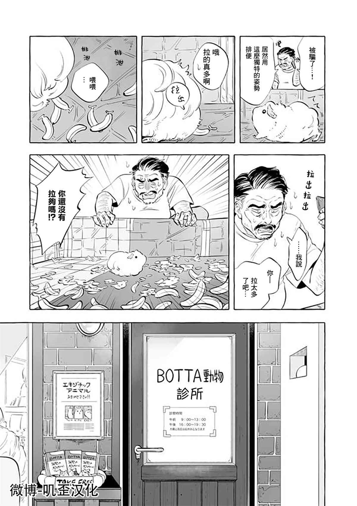 Guinea Pig Room Tour漫画,第3话4图