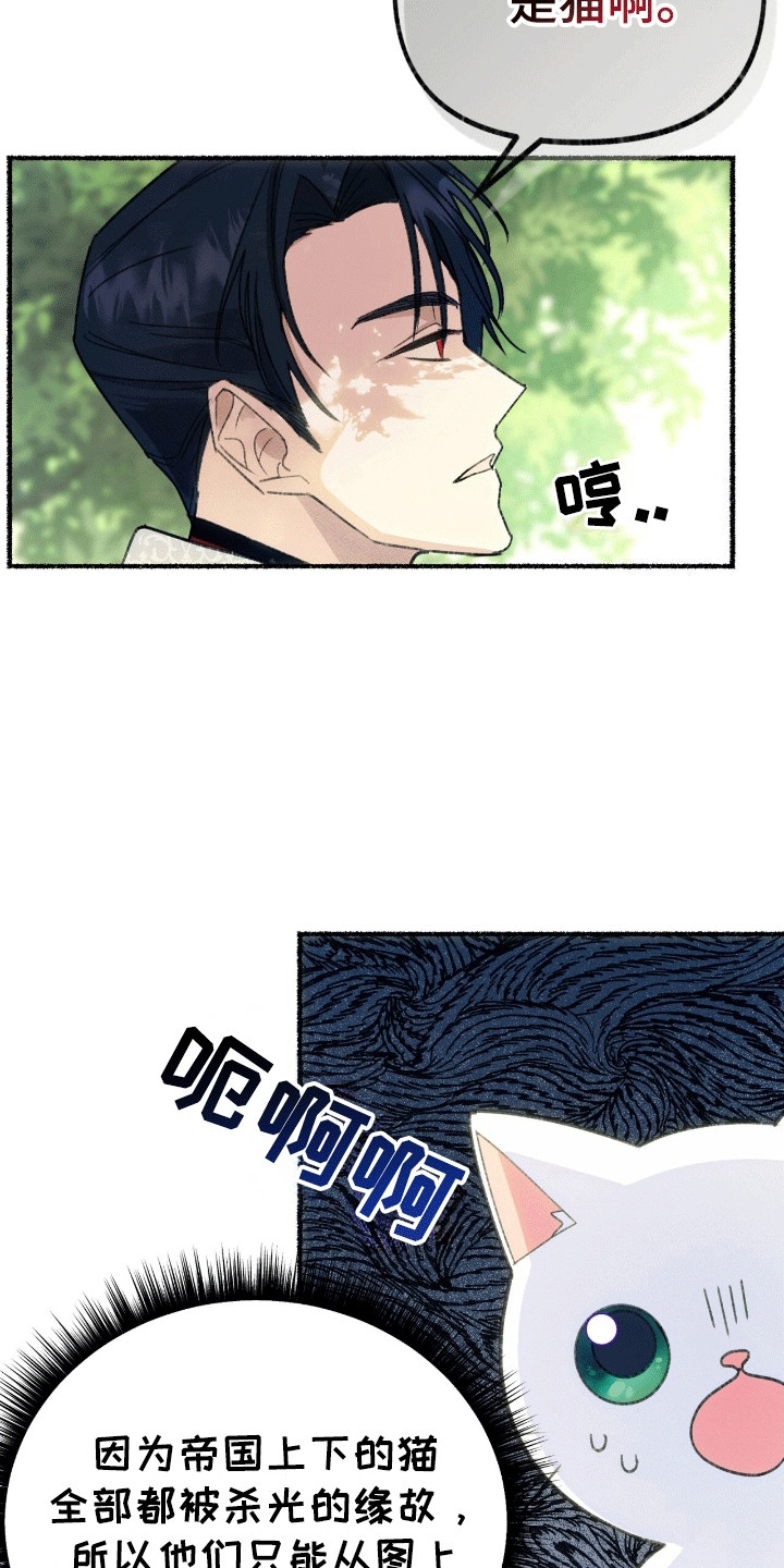 喵喵与暴君同眠漫画,第3话4图