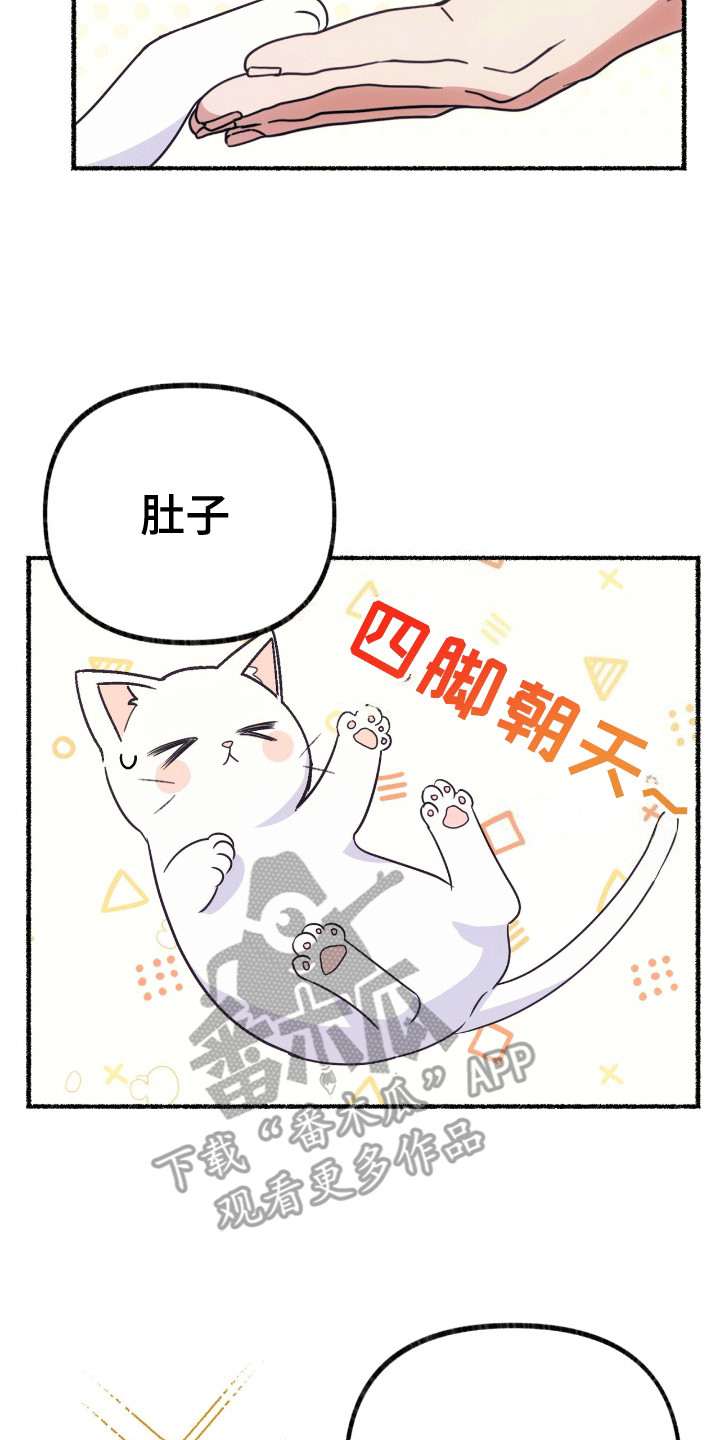 喵喵与暴君同眠百度云漫画,第4话3图