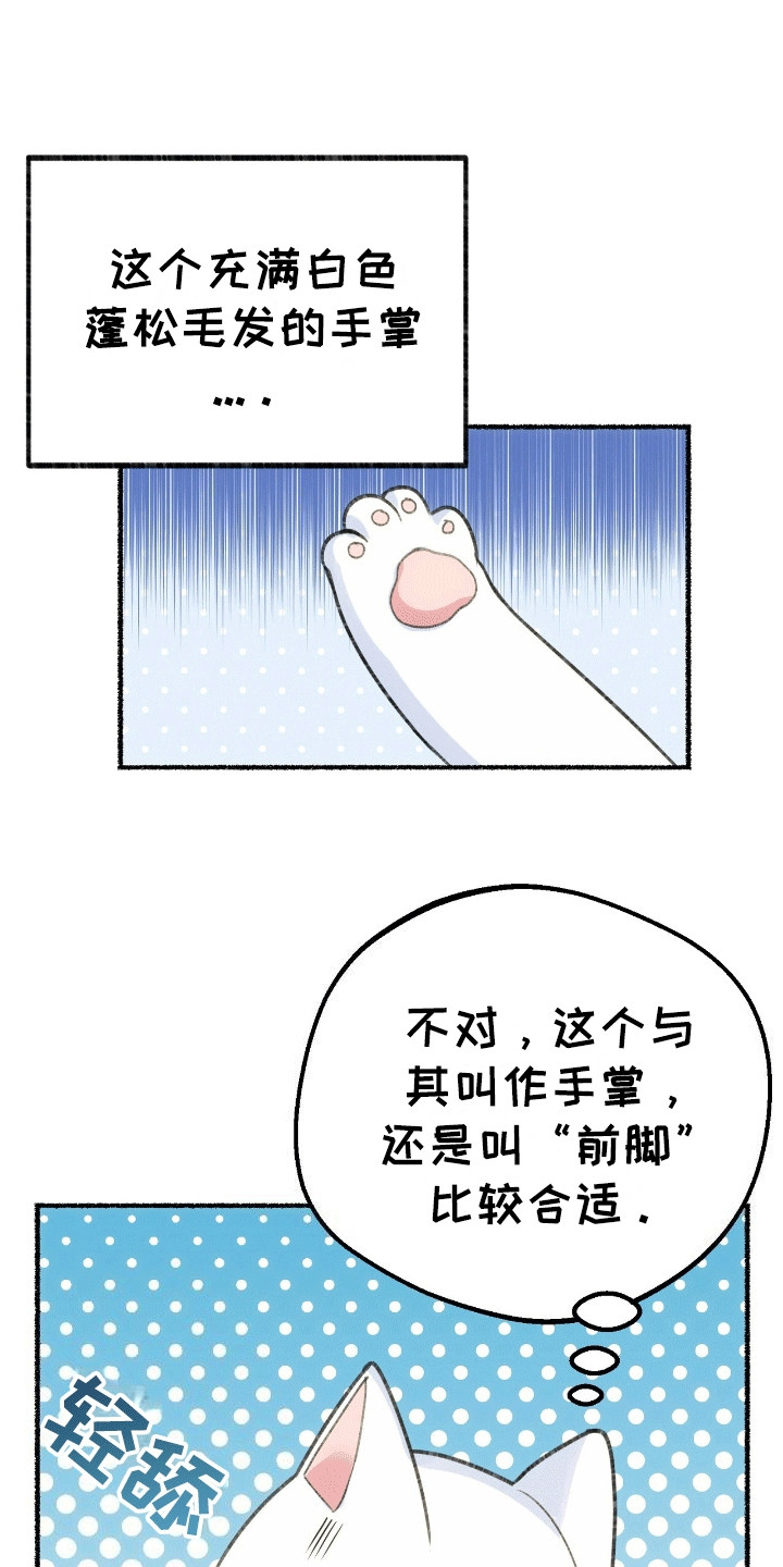 喵喵与暴君同眠漫画,第2话1图