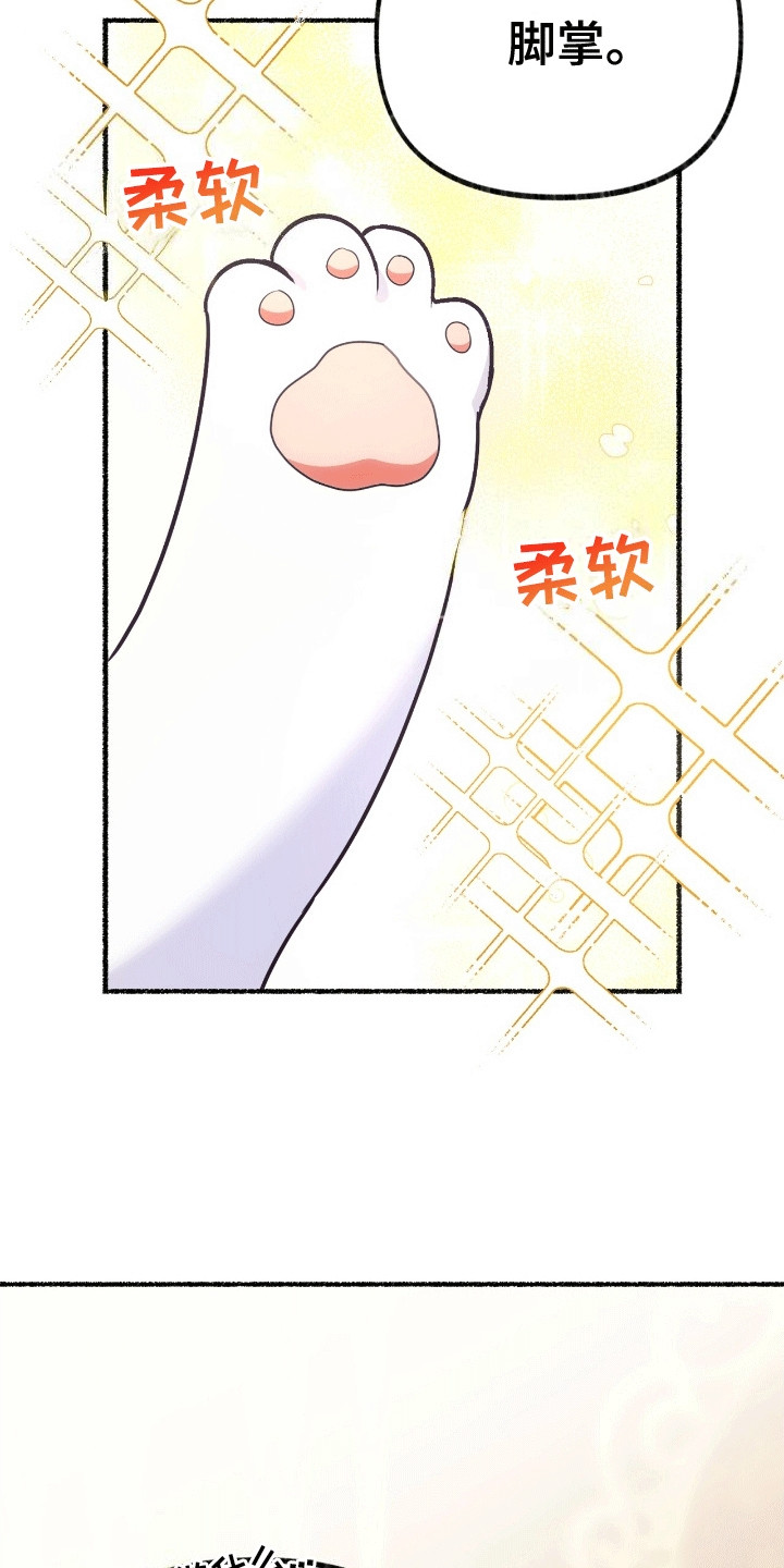 喵喵与暴君同眠漫画,第4话4图