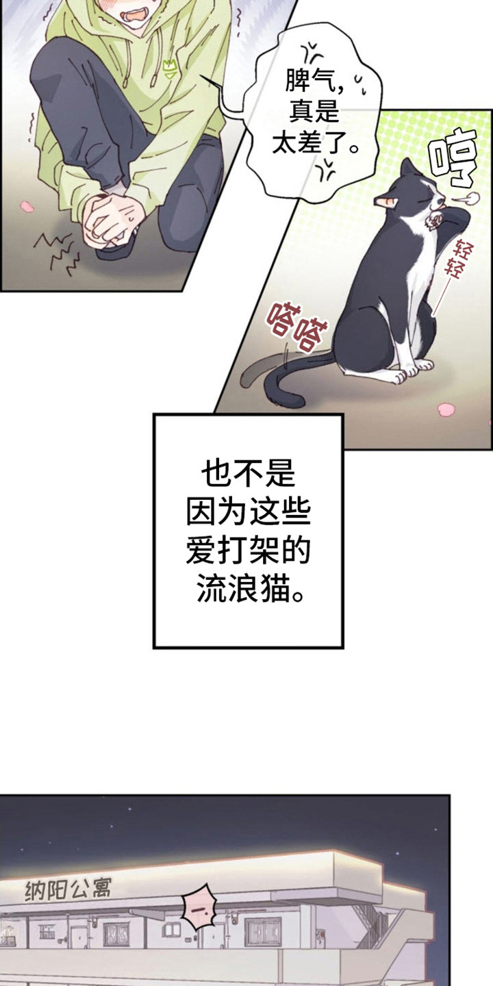 吃掉小可爱罗义崔武赫漫蛙叫什么漫画,第1话3图