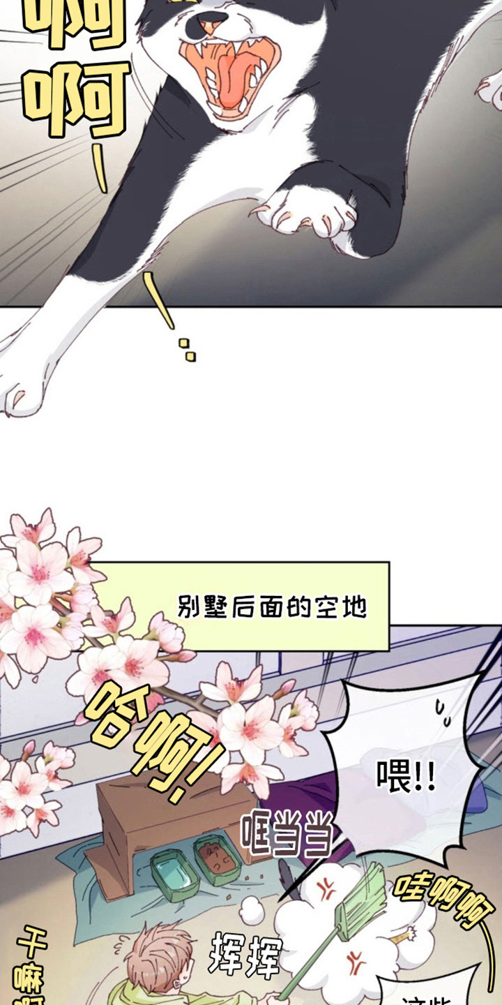 吃掉小可爱罗义崔武赫漫蛙叫什么漫画,第1话1图