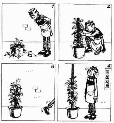 老夫子大番薯图片漫画,第5回1图