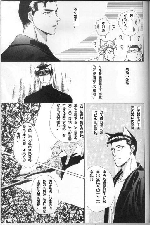 我的小猫漫画,第7话2图