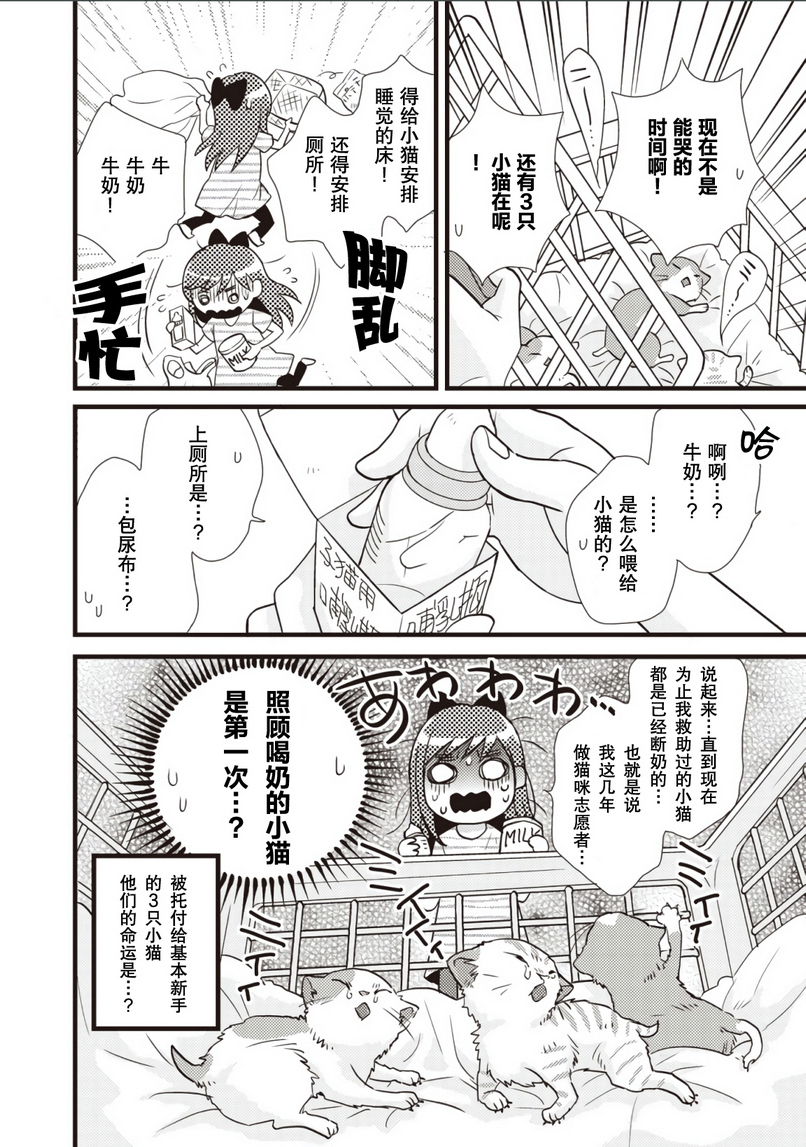 猫咪志愿部的牛奶小姐漫画,第1话3图