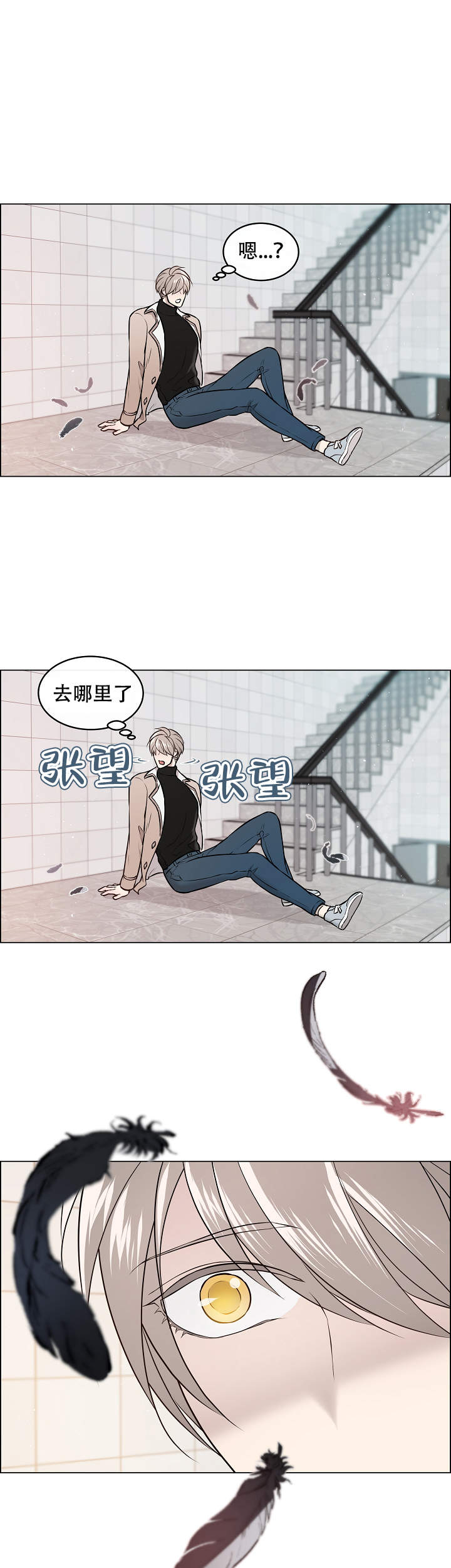 喜鹊报恩的图片漫画,第3话2图