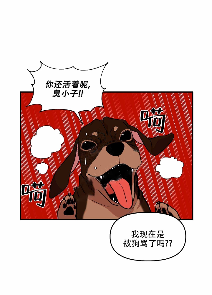 警卫小青年漫画,第9话5图