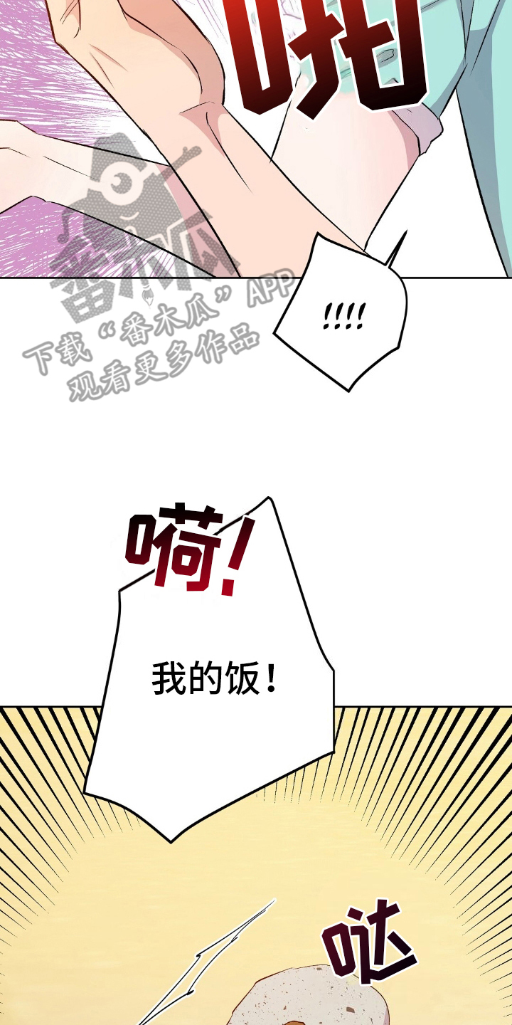 孤岛浪漫漫画全集漫画,第10话5图