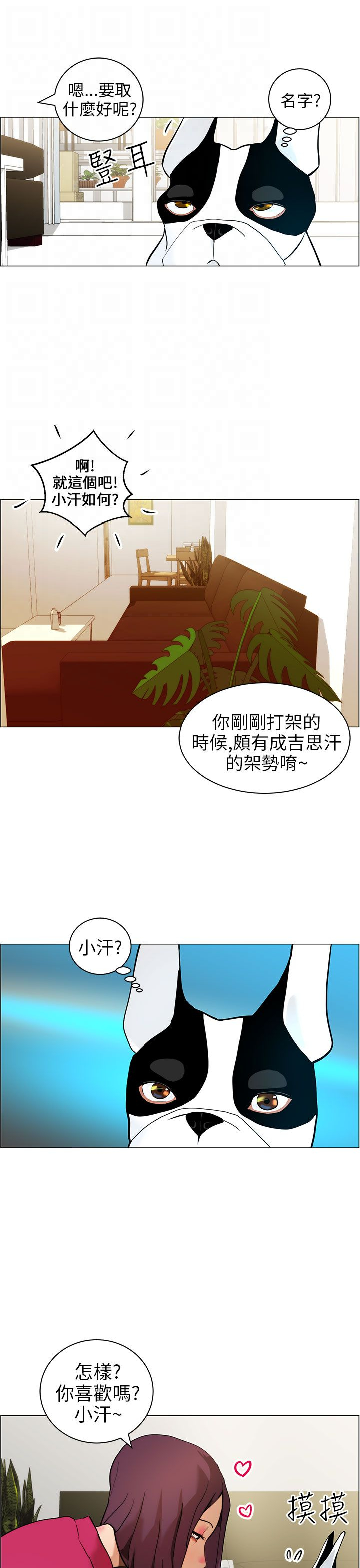 物种丰富度漫画,第9话1图