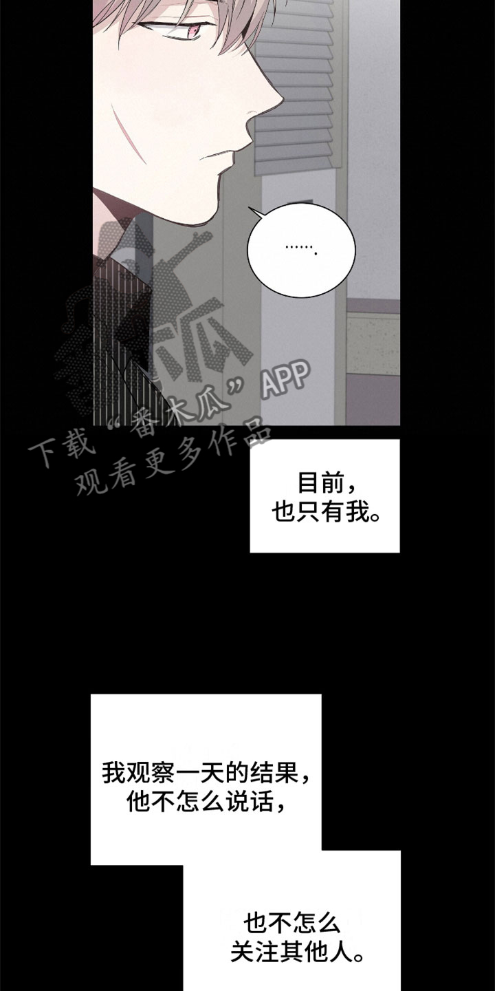 危险爆发漫画免费漫画,第10话5图