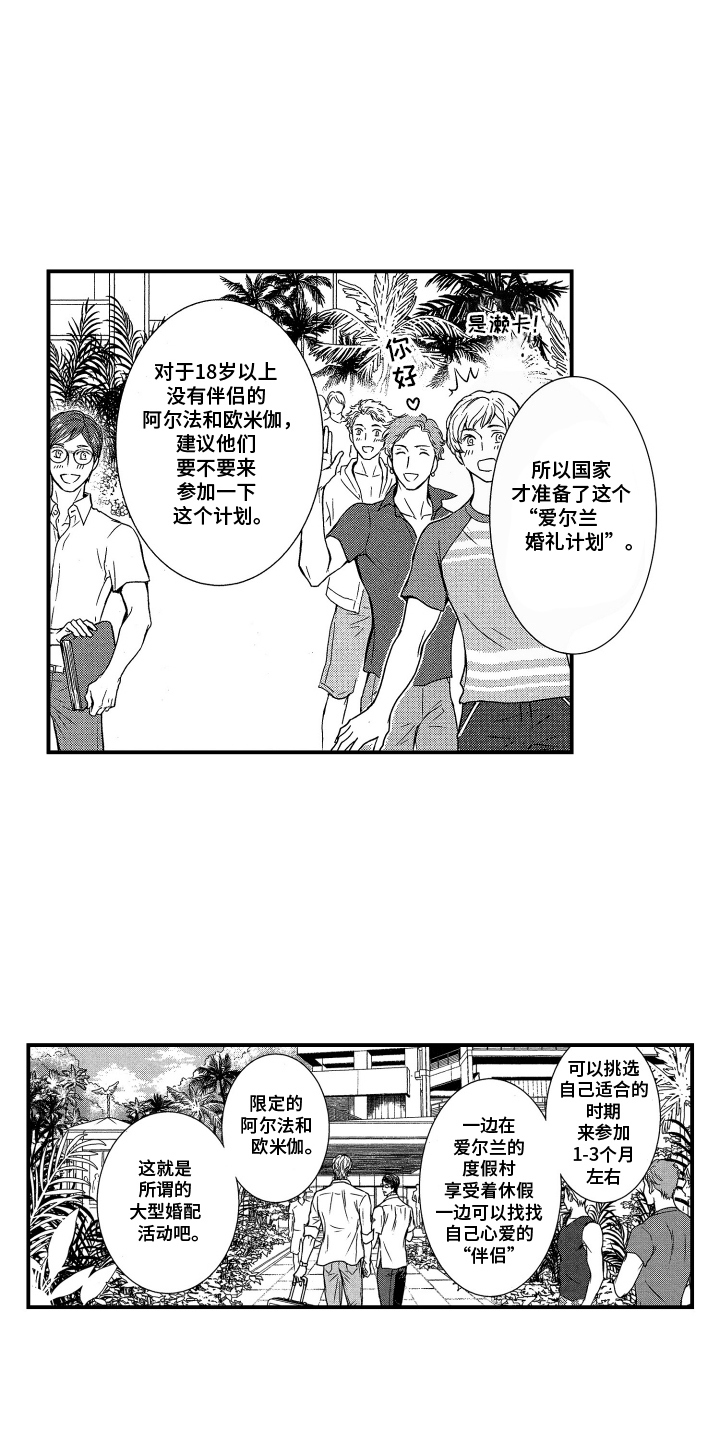 阿尔法婚礼计划漫画,第1话1图