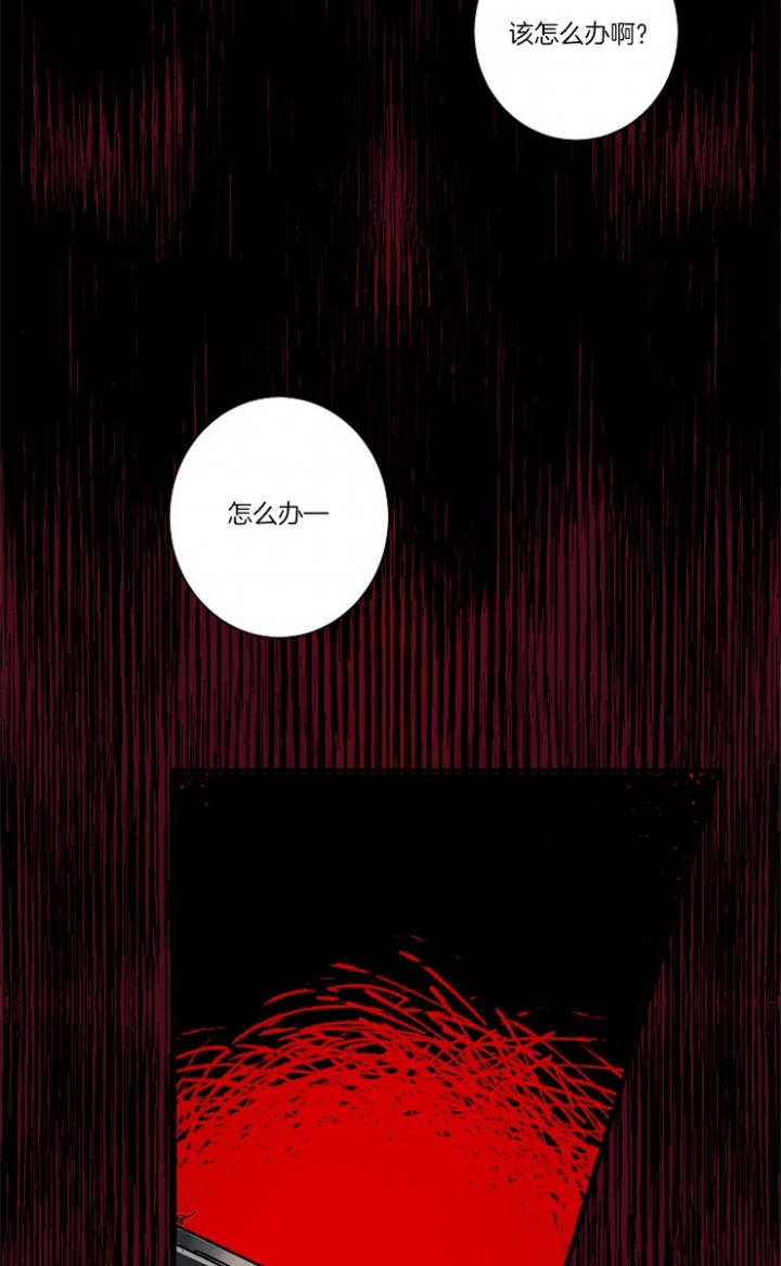 圈养宠物小说免费阅读漫画,第1话5图