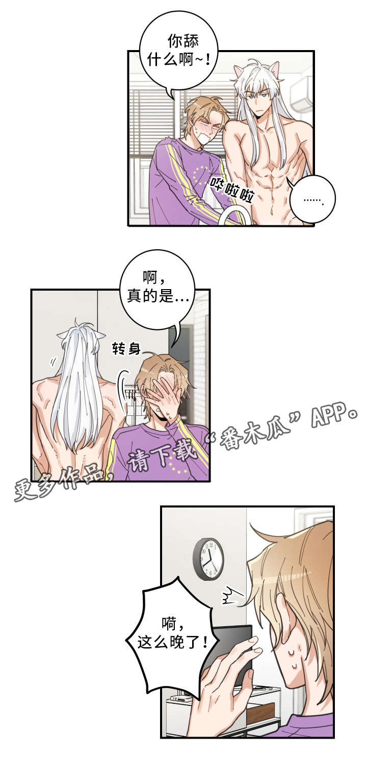 亲爱的喵君漫画,第6章：猫呢4图