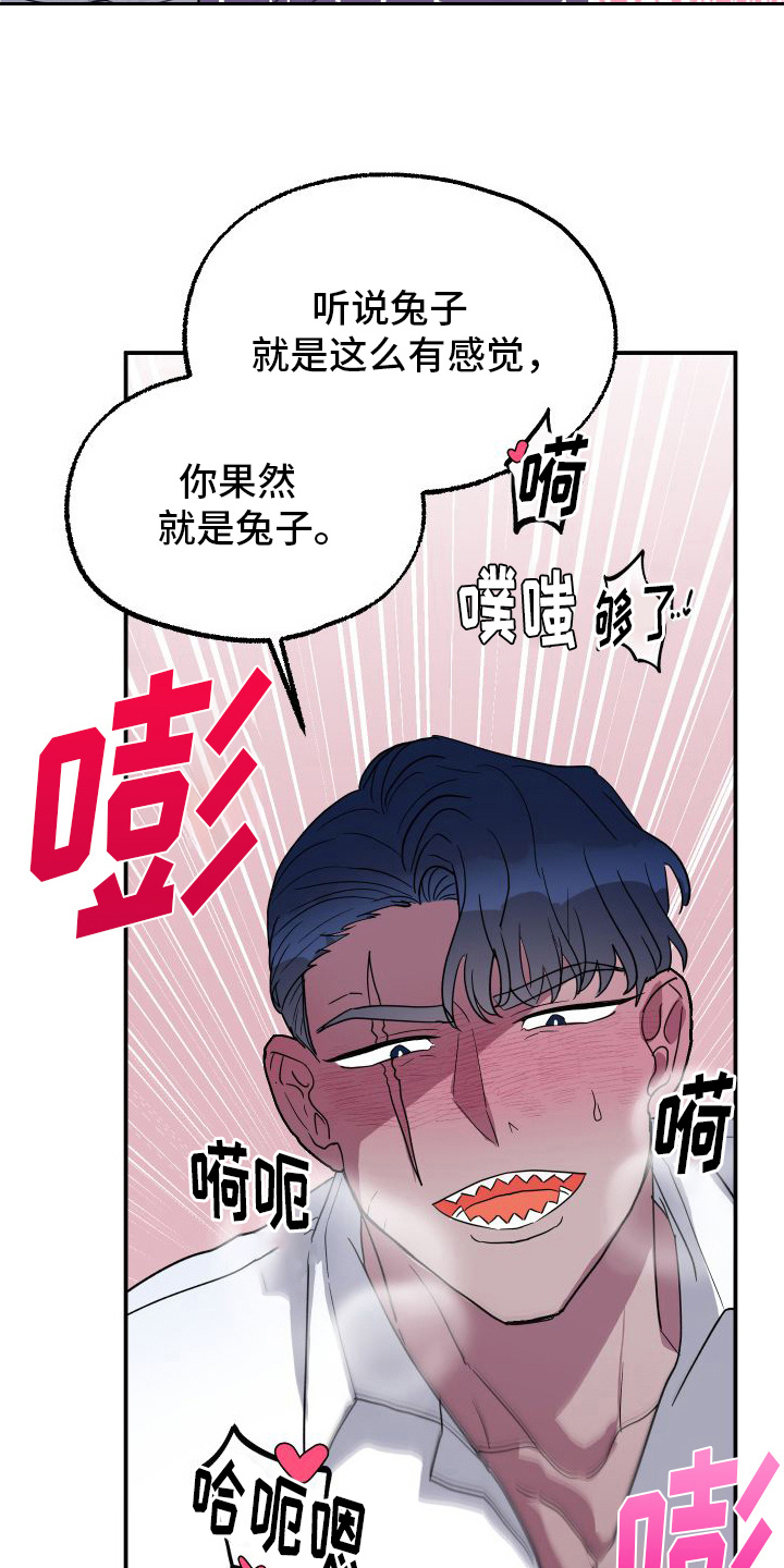 海兔新娘在哪看免费漫画,第6话4图