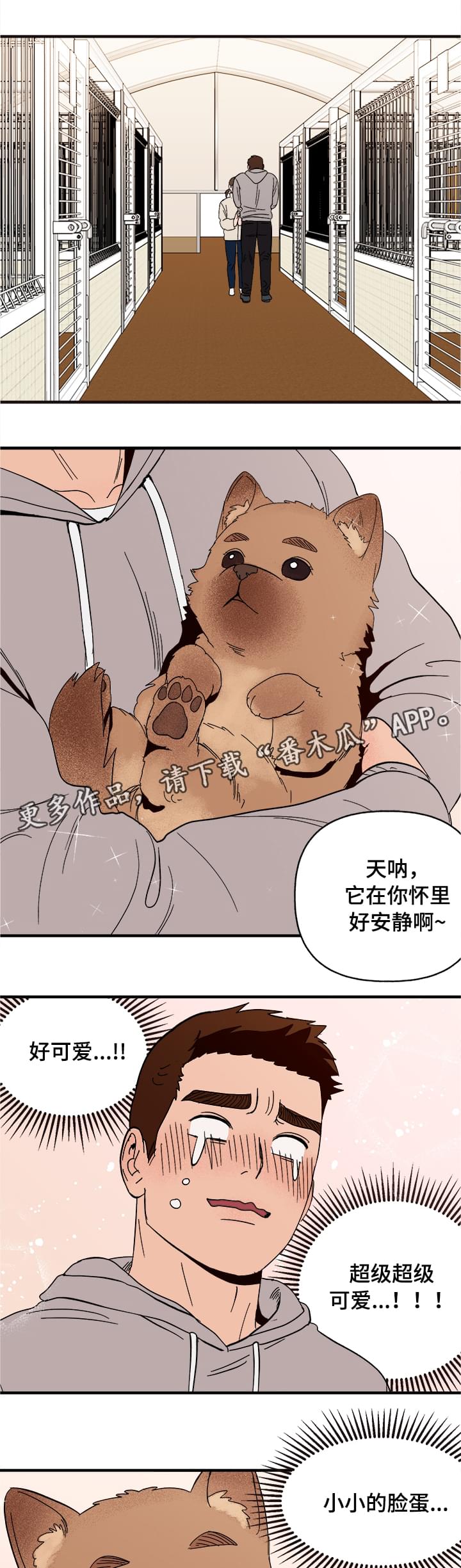 爱宠攻略漫画,第6章：惩罚5图