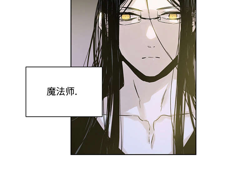 巫师与狼漫画在线免费阅读漫画,第4话5图