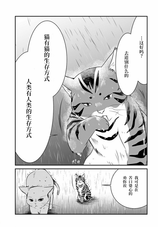 想哭的我带上了猫的面具漫画,第8话5图