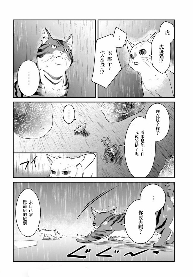 想哭的我带上了猫的面具漫画,第8话4图