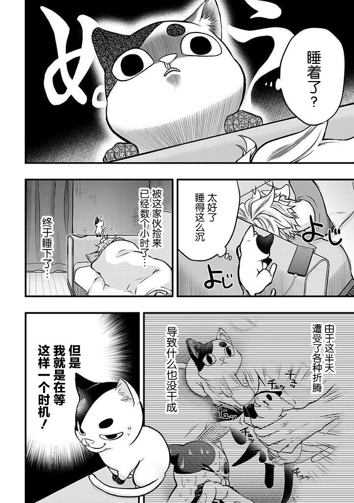 被遗弃的小猫咪与原黑道漫画,第3话3图