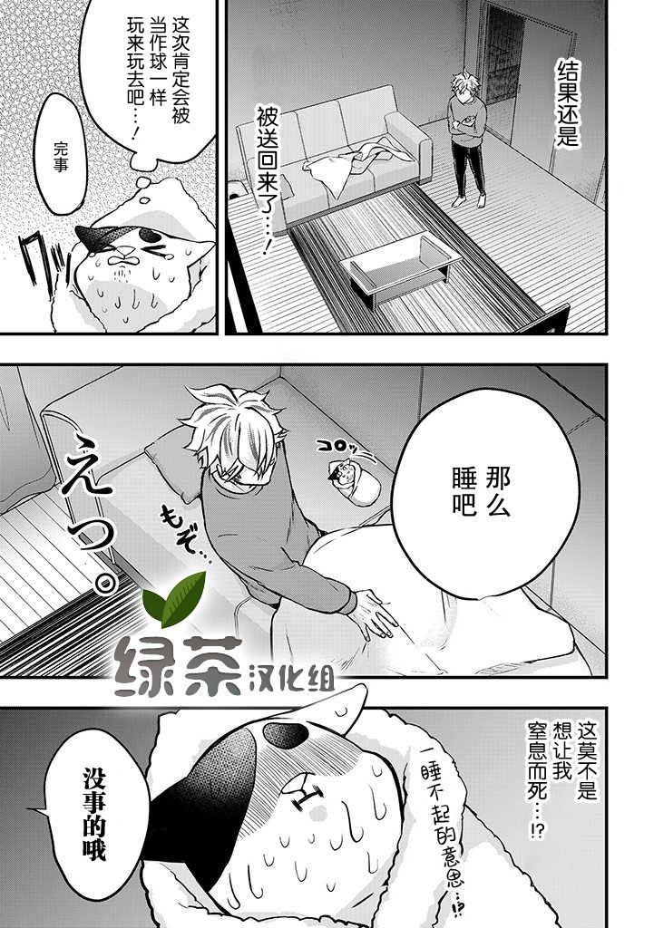 被遗弃的小猫咪与原黑道漫画,第3话2图